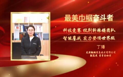善作善成她力量 | 行业的先行者和领路人——天津鲲鹏信息技术有限公司：丁璠