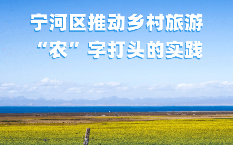 天津市宁河区推动乡村旅游“农”字打头的实践