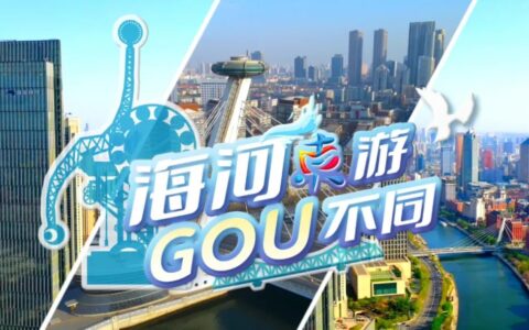 收藏不亏！这份攻略带您体验“GOU不同”的海河旧书市集