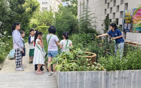 高新区开展职工子女暑期关爱活动