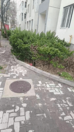 一张热线工单的故事｜探索基层治理新模式：同参与共治理，让家园更美丽！