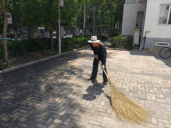 一张热线工单的故事｜探索基层治理新模式：同参与共治理，让家园更美丽！