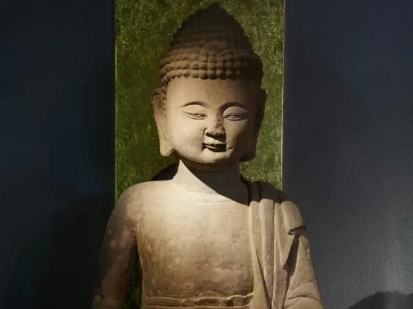 天津网络媒体联合推荐 | 拥抱庆阳：触碰历史纹理，翻阅文化印记