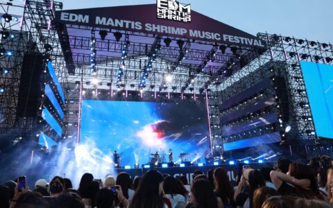 嗨唱一“夏”！高新区成功举办2024年渤龙湖音乐节