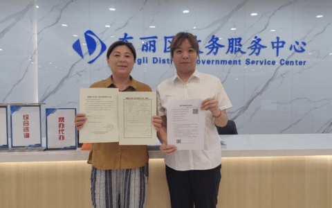 基层动态｜东丽区：一次办一站办 助推“高效办成一件事”