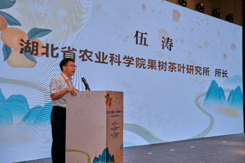 湖北省柑橘产业链重点区域公用品牌推介活动在天津成功举办