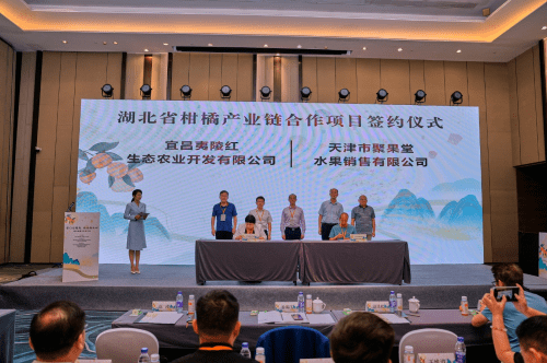 湖北省柑橘产业链重点区域公用品牌推介活动在天津成功举办