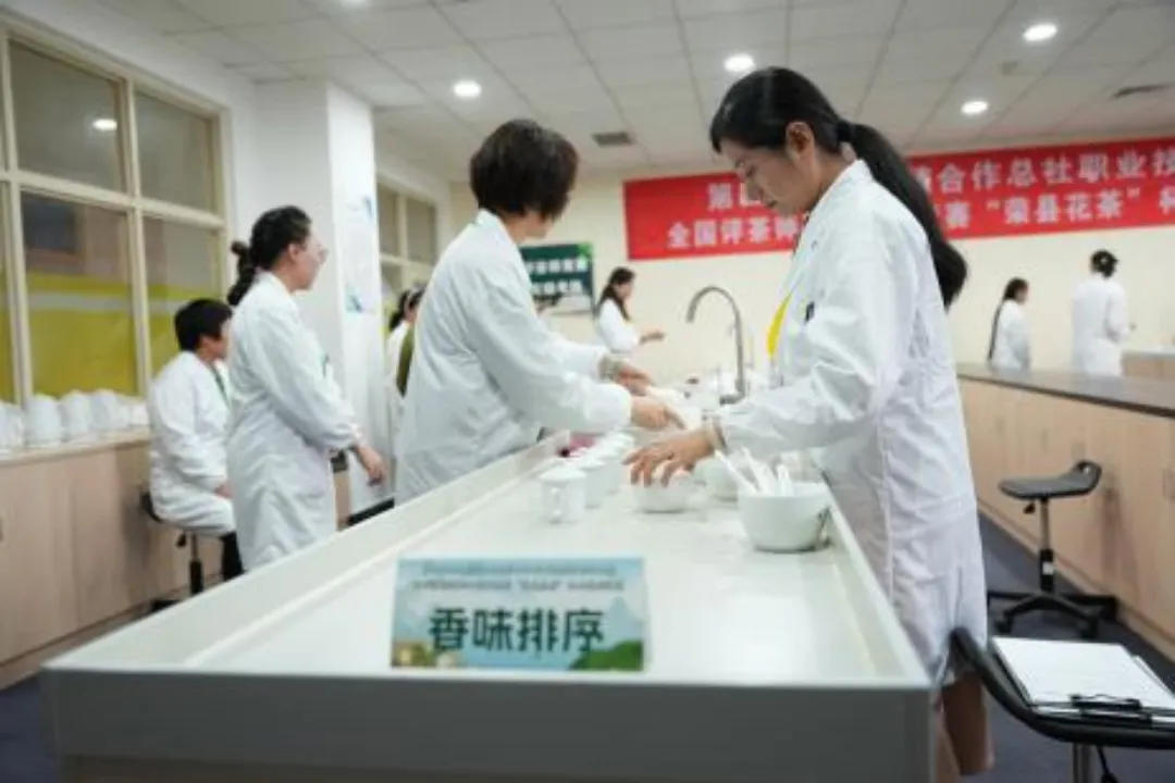 全国供销合作总社评茶师职业技能竞赛“荣县花茶”杯天津市预选赛圆满落幕