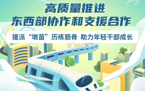 高质量推进东西部协作和支援合作 | 援派“墩苗”历练筋骨 助力年轻干部成长