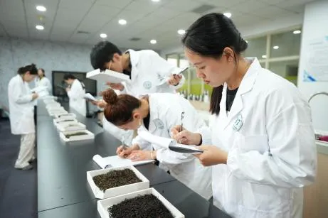 全国供销合作总社评茶师职业技能竞赛“荣县花茶”杯天津市预选赛圆满落幕