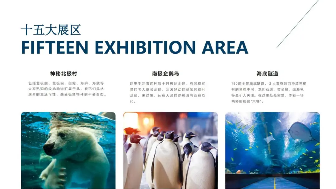 【会员基地·泰达游】极地海洋公园，职工专属团购价低至5-6折！