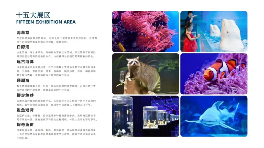 【会员基地·泰达游】极地海洋公园，职工专属团购价低至5-6折！