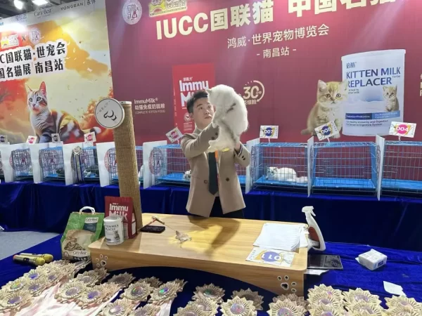 滨海文化中心 | 首届萌宠星球·漫游乐园主题宠物展内容抢先看！