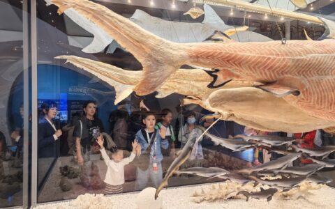 高新区开展“万物共生 和美永续”国际生物多样性日主题参观活动