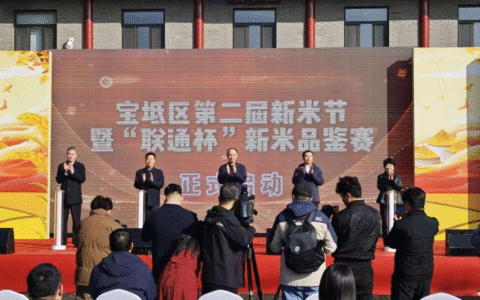 天津联通精彩亮相宝坻区第二届新米节