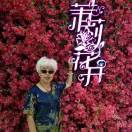 善人的头像
