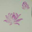 梦想教育家的头像