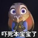 蔡彦廷的头像