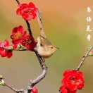 喜之郎的头像
