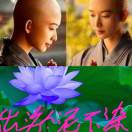 叙友茶庄，高山特产，18649046122的头像