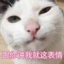 楓的头像