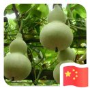 一实不二的头像