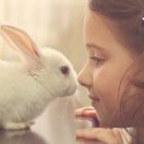 ᥬ  ᭄咱能不逗吗的头像