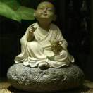 周立明的头像