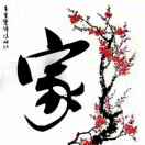 华晨明月的头像
