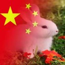 漷儁的头像